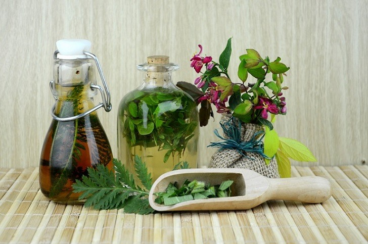 ll▷ 10 Insecticidas Naturales para plantas ✓ Insecticida orgánico casero